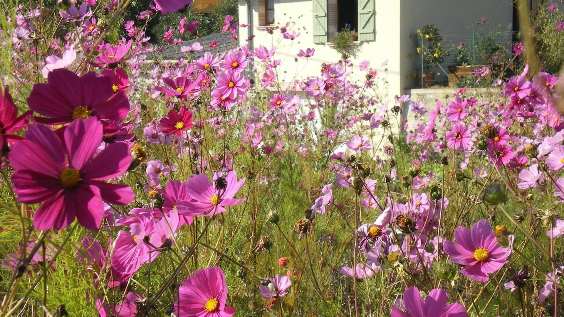 Le Poulailler Villa Lavit France